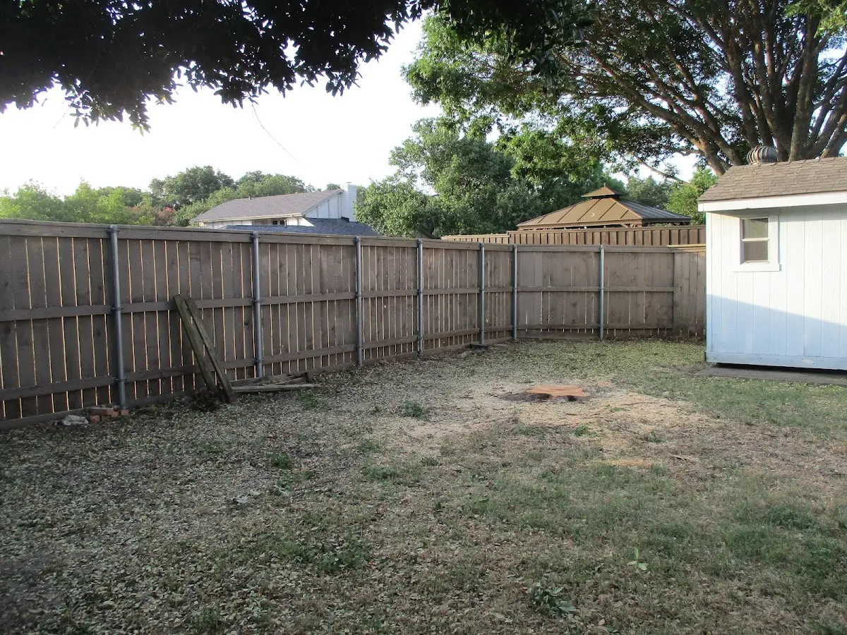 Cleared yard after professional tree removal in Mc Connellsville